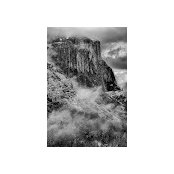 Wendy Somers's photo
