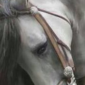 Jenny Cline's photo