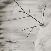George Amorim's photo