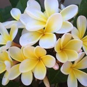 Foto von Maryse Brooks