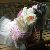 Charlotte Runyon's photo