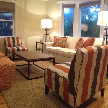 Modern Living Room