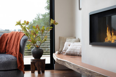 Minimalist living room photo in Other