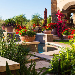 フェニックスの大きいトラディショナルスタイルのおしゃれな裏庭のテラス (噴水) の写真