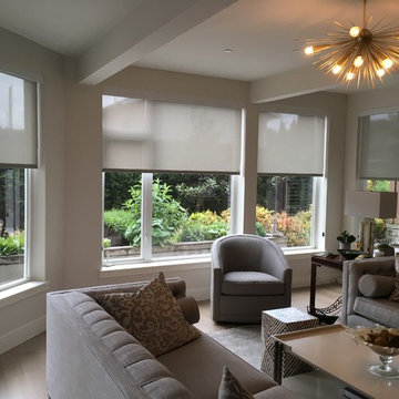 Solar Shades