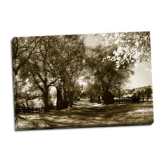 Fine Art Photograph, Autumn Foothills 6, Hand-Stretched Canvas