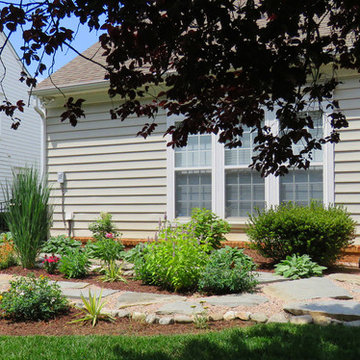 Pollinator Garden Eight Weeks after Planting