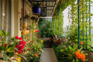 Balcony Garden Mr. Rohan Sharma