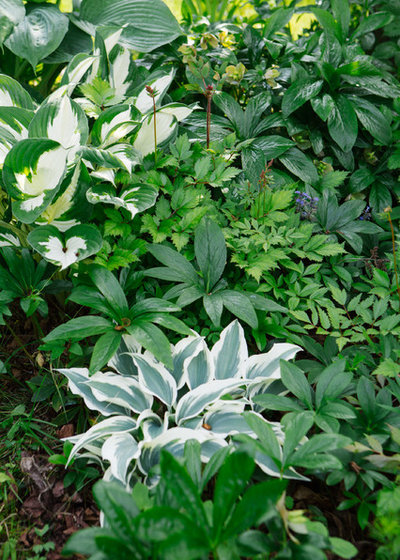 by Ольга Шангина | Photography