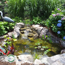 Ponds