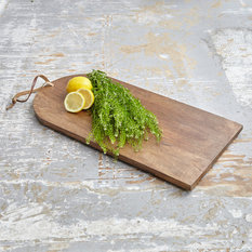 Modern Kitchen Utensils Gadgets modern kitchen tools & gadgets | houzz Modern Kitchen Utensils Gadgets modern kitchen tools & gadgets | houzz