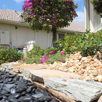 Front Yard Landscape