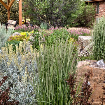 Plant Combinations