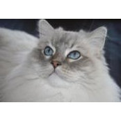 Vicki Leith's photo
