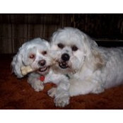 Sue Immel's photo