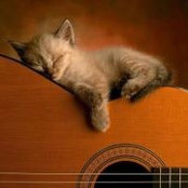 Lisa Weaver's photo