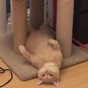 Frank Gao's photo