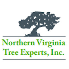 Northern Virginia Tree Experts Inc