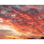 Amber Gary Hibdon-Butler's photo