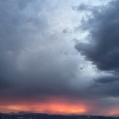 Meg Crisafulli's photo
