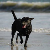 Denise Di Mascio's photo