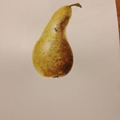 Elizabeth Proctor's photo