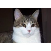Roxanne Wilson Hastings's photo
