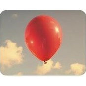 Anna Diebel's photo