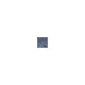 Jarid Kohlrieser's photo