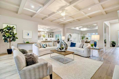 Trendy living room photo in Sacramento