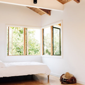 Canopy Studio
