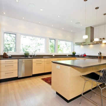 Mid Century Modern Home