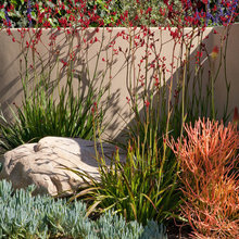Garden Ideas