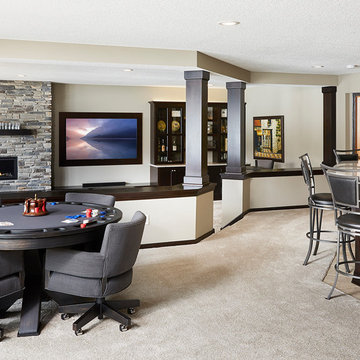 Lower Level reimagined in Ham lake