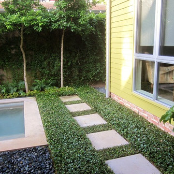 Heights Modern