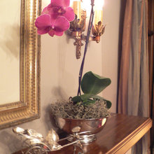 fleurs