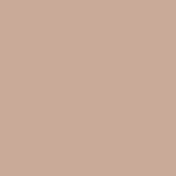 Pinky Beige - Paint