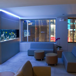 Custom Aquarium Gallery - Products