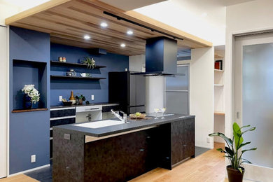 モダンスタイルのおしゃれなキッチン (シングルシンク、インセット扉のキャビネット、黒いキャビネット、セメントタイルの床、黒い床、黒いキッチンカウンター、板張り天井) の写真