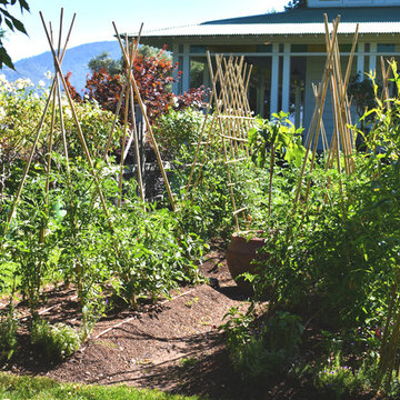 Vegetable Garden & Trellis