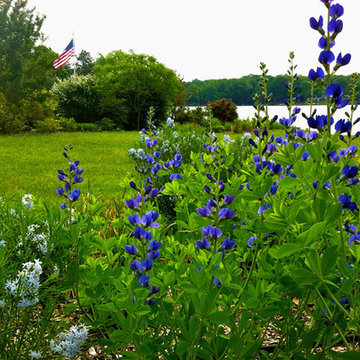 Lake near Fredericksburg, VA:  Plant&Sustain for Clean Water