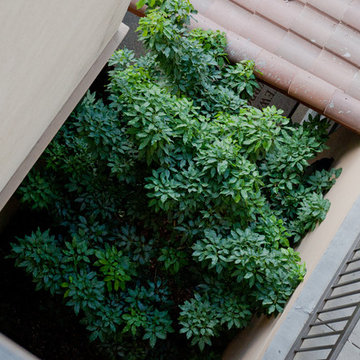 Greenery Everywhere