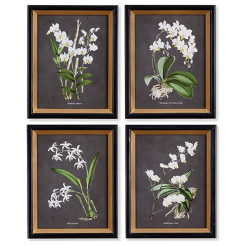 Orchid Study Petite, Set of 4
