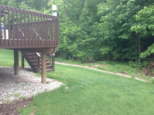 Backyard ideas