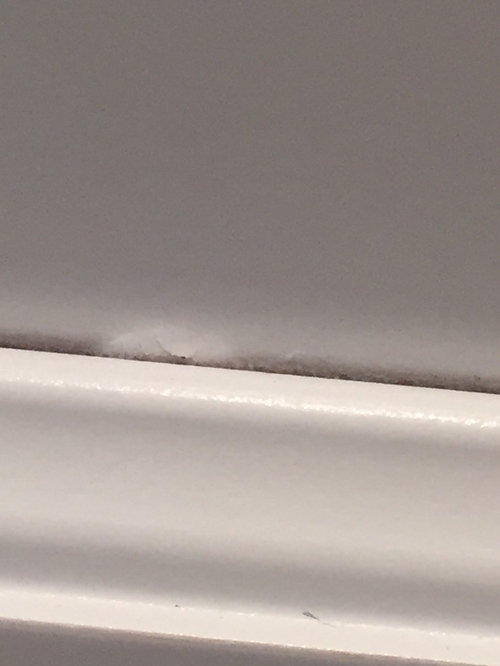 Kitchen paint peeling off