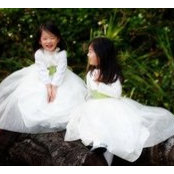 Lauren Hahn's photo