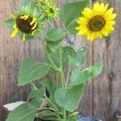 Jen Scott's photo