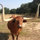 Patty Miller_Eberhart
