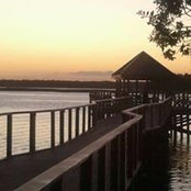 Willa Faye Moore's photo