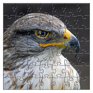Zen Art Design Artisanal Wooden Jigsaw Puzzle Eagle Eye Medium 204 Zen Art Design Artisanal Wooden Jigsaw Puzzle Eagle Eye Medium 204